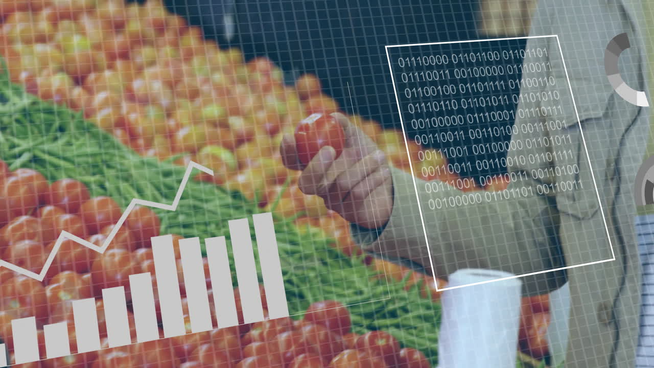 Hand selecting tomatoes, data analytics animation overlaying graphs and binary code