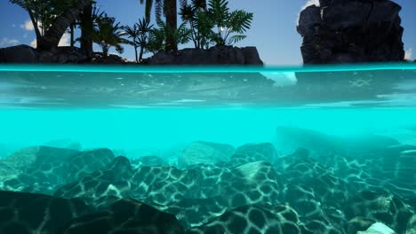 split view cross section of sea water and palm trees on island