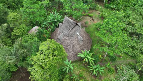 maloca en la selva del peru cerca de iquitos, casa de meditacion, ceremonias, ayahuasca, cambpo, yoga, plantas maestras, medicina