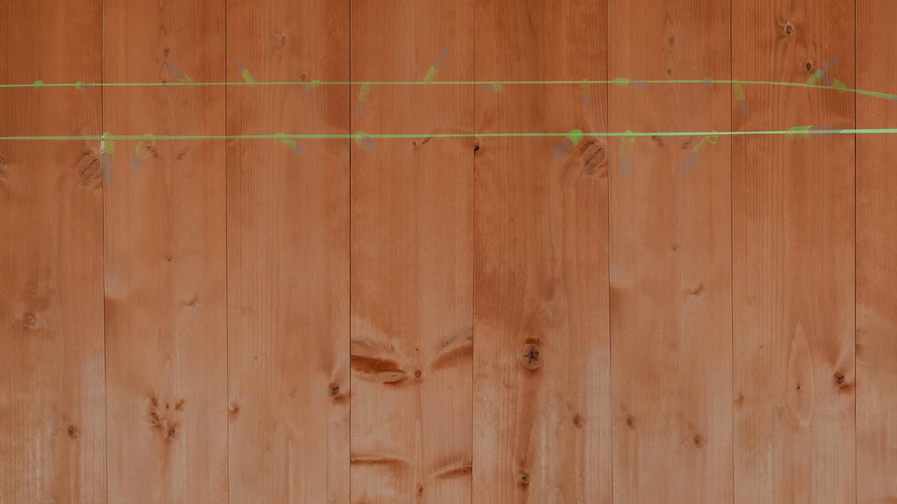 나무 바탕에 박이는 요정 불빛의 애니메이션