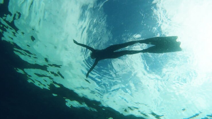 I could swim this ocean all day