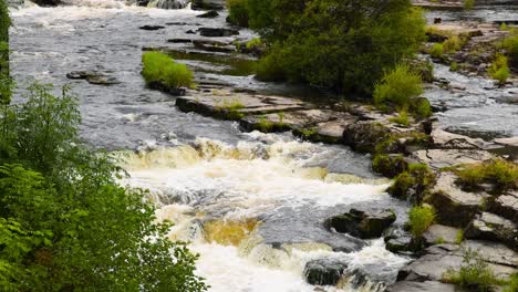 río que fluye a través de las rocas y la vegetación