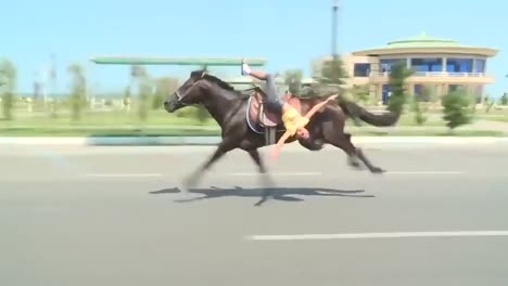 skilled teenager riding thoroughbred fast arabian horse on highway, tracking shot