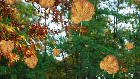 animation of autumn leaves falling against low angle view of trees and sky