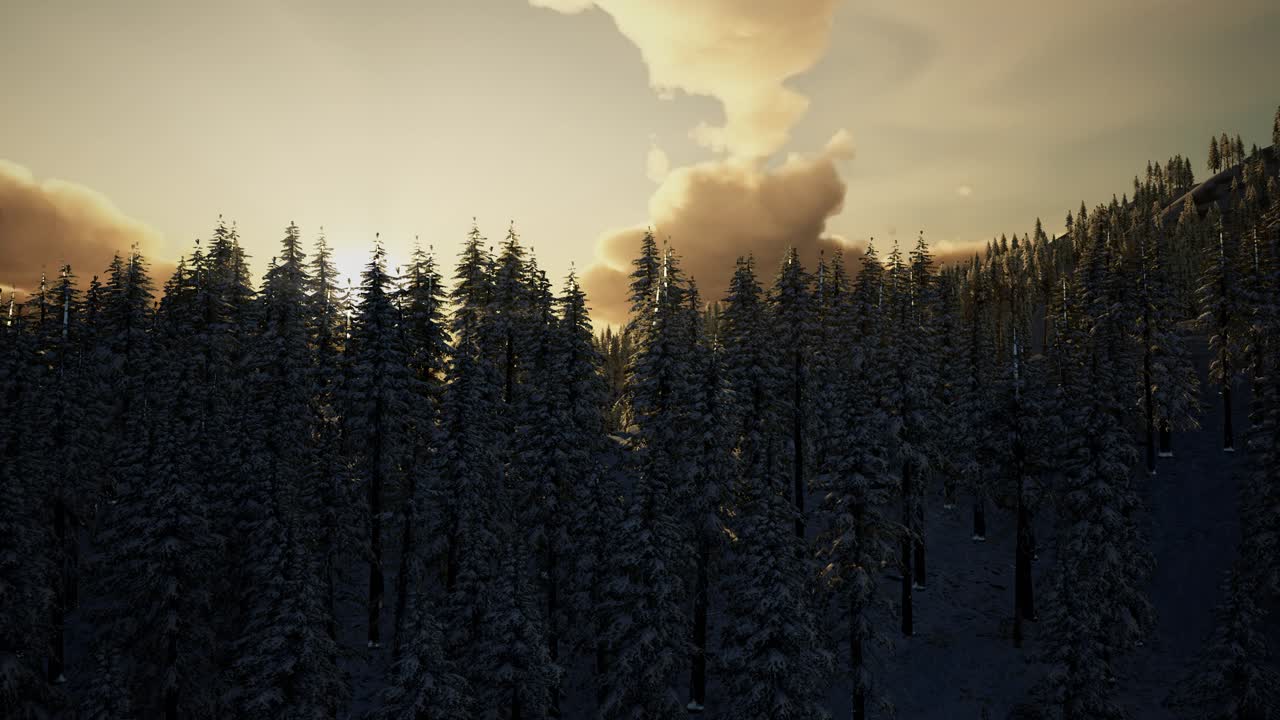 Vinterlandskab ved solnedgang
