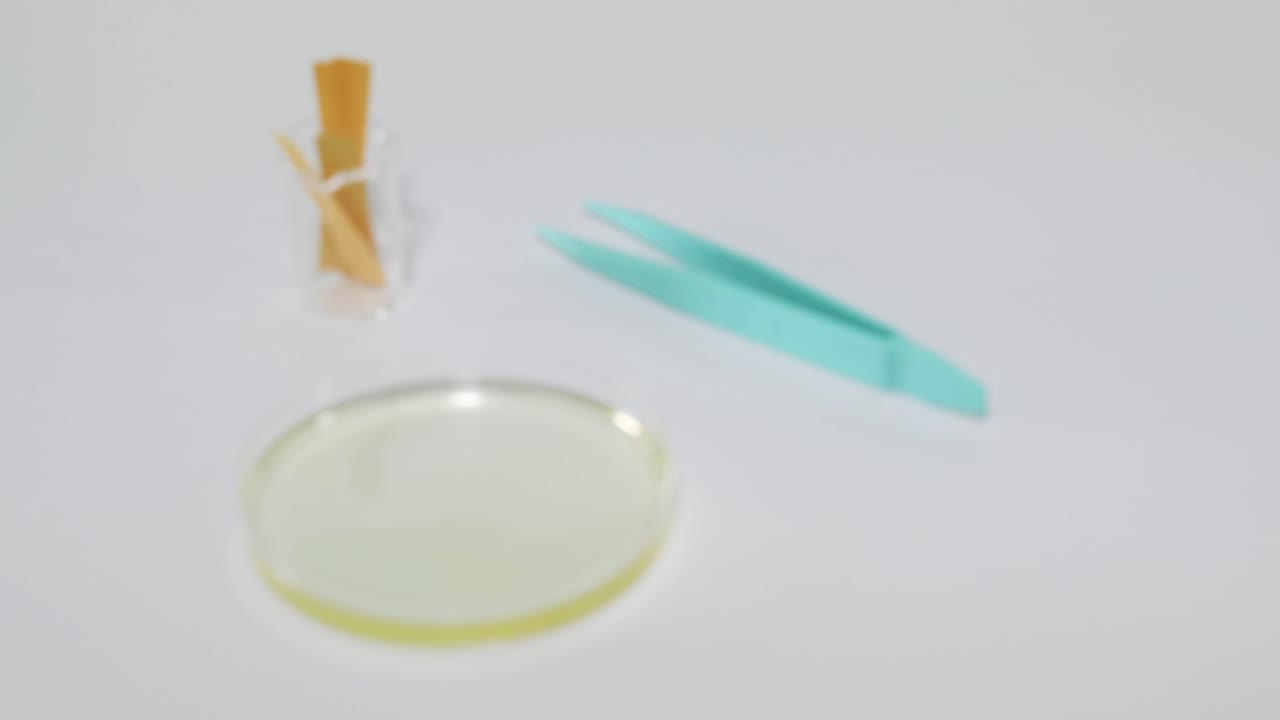 달 색 용액에 대한 리크무스 페이퍼 테스트