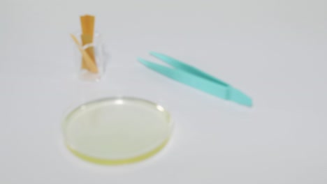 litmus paper test on egg white solution