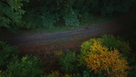 Lone-person-walking-on-countryside-path-as-night-descends-from-above