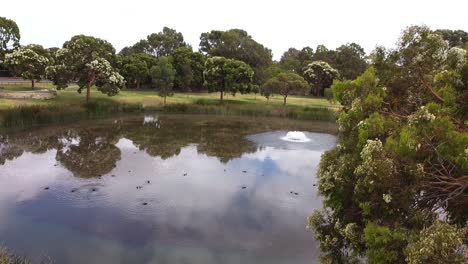 Aerial-Lift-Up-Shot-Near-Edge-Of-Circular-Lake-With-Ducks-And-Fountain