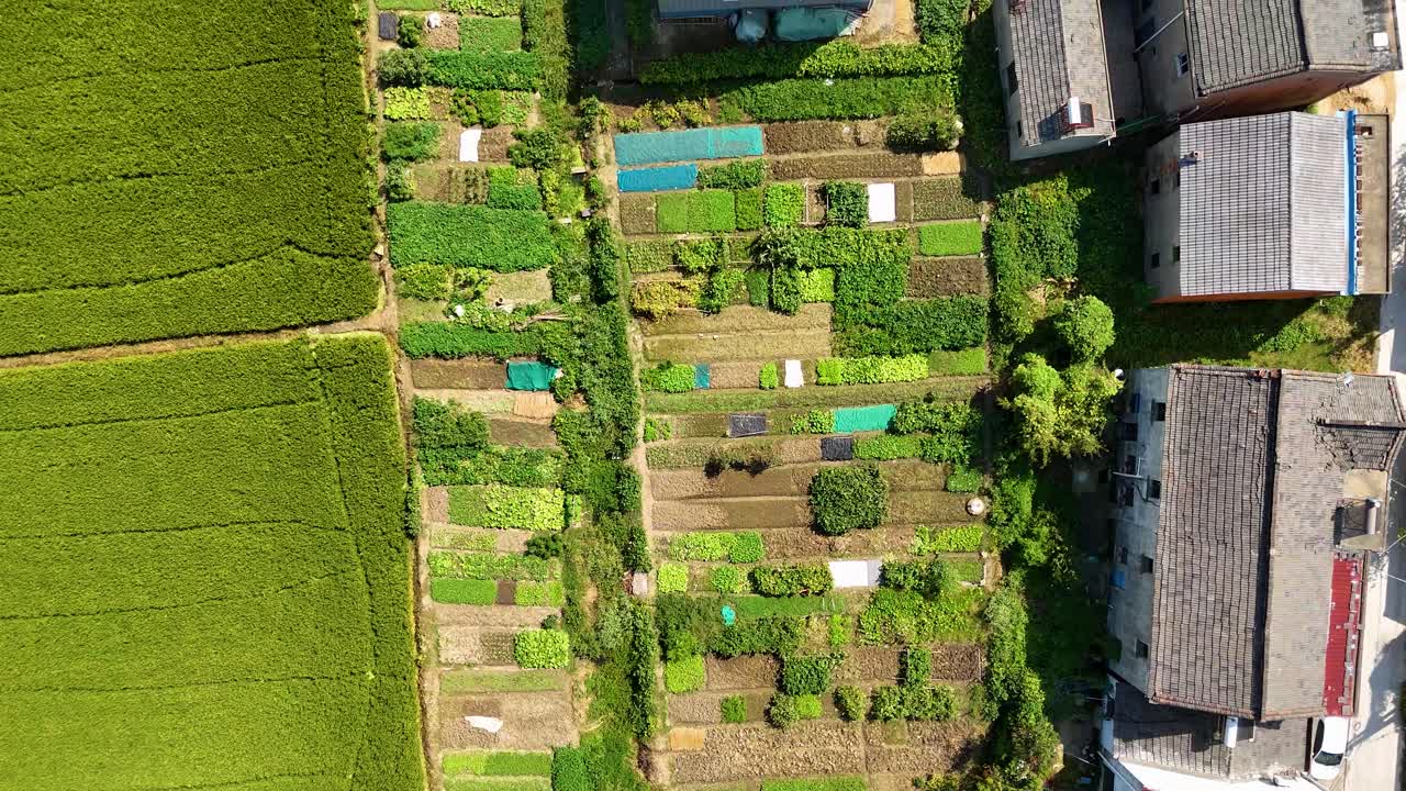 Top-down aerial view of a farming village in Jiangsu Province, China, featuring water ponds nearby, highlighting the rural landscape and the integration of agriculture with natural water sources.