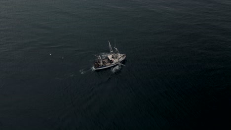 fishing trawler heads out on the sea and sailing on the calm water by the saint lawrence in quebec, canada