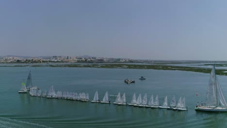 sailboats and dinghys in line sailing on azure waters during sunny day in warm portugal