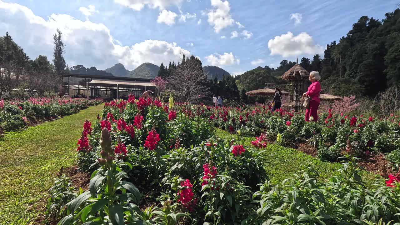 다채로운 꽃이 피는 가운데 걸어가는 사람