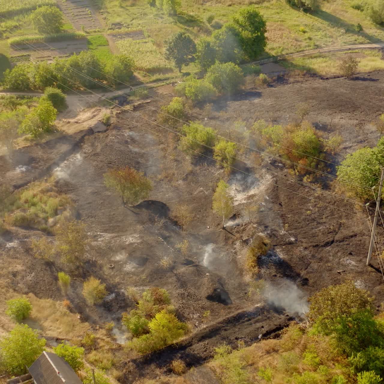 Flaming dry grass on field