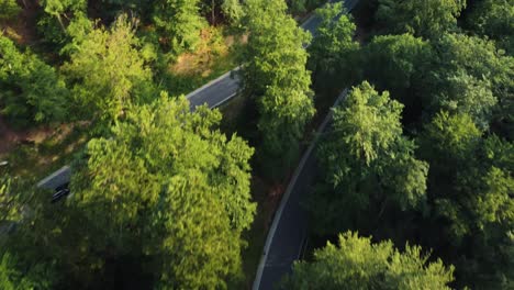 Drone-shot-of-a-sports-car-driving-through-a-green-forest-on-a-sharp-turn