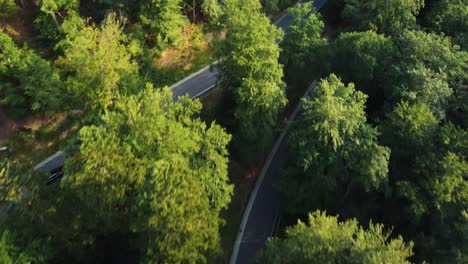 drone shot of a sports car driving through a green forest on a sharp turn