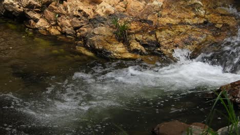 Crystal-clear-fresh-mountain-waterfall-crocodile-river-water-sparkling-and-flowing-over-rocks-and-pebbles-in-the-background-at-the-walter-sisulu-national-botanical-gardens-in-roodepoort,-South-Africa