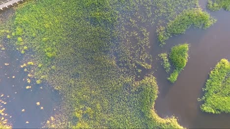 Birds-eye-view-of-river-and-piers-near-Ocean-Isle-Beach-NC