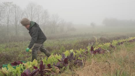 Toma-Estática-De-Un-Joven-Agricultor-Que-Trabaja-Solo-En-Una-Granja-Agrícola-Durante-La-Fría-Temporada-De-Invierno,-Concepto-De-Estilo-De-Vida-Fuera-De-La-Red