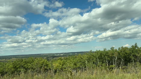 scenic view of a forest with blue sky and fluffy clouds