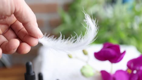 hand holding a delicate white feather