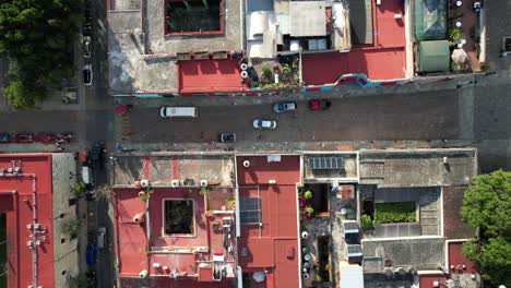 aerial view of the city of oaxaca and the temple of santo domingo