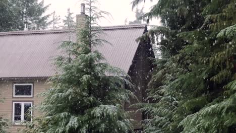 snowfall on beautiful forest surrounding brown cabin or house in canada, whistler bc