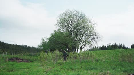 Grüne-Natur-Mit-Einem-Gehenden-Mann,-Der-Eine-Kapuzenjacke-Trägt