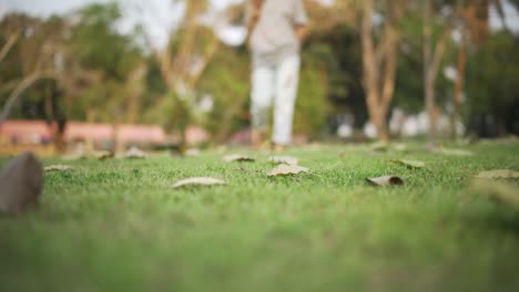 Young-woman-walking-with-bare-feet-on-grass-covered-with-foliage-towards-camera