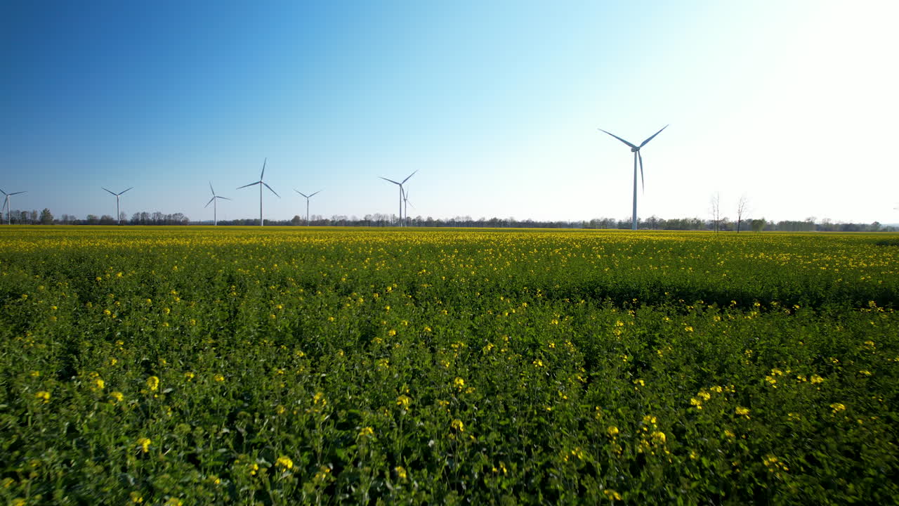 광범위한 필드에 설치 된 에너지를 생산하는 데 사용되는 회전 풍력 터빈