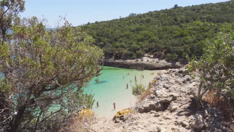 a hidden tropical cove visible through the bushes near galapinhos, portugal