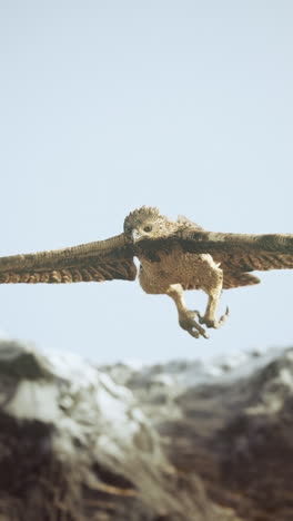 eagle soaring over majestic mountains