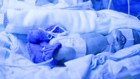 newborn in nicu