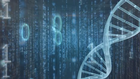 animation of dna strand with data processing over server room