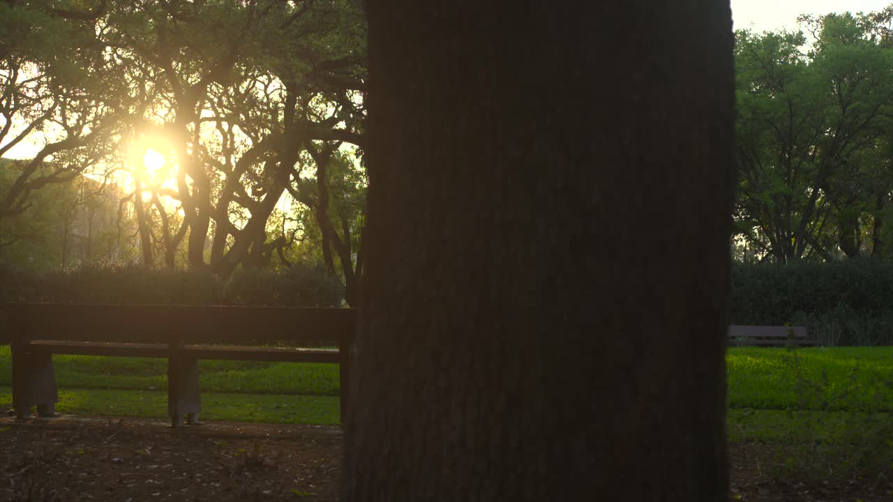 Iconic Hildebrand Foundation Lawn at HMFA — Tranquil Public Space with Museum District