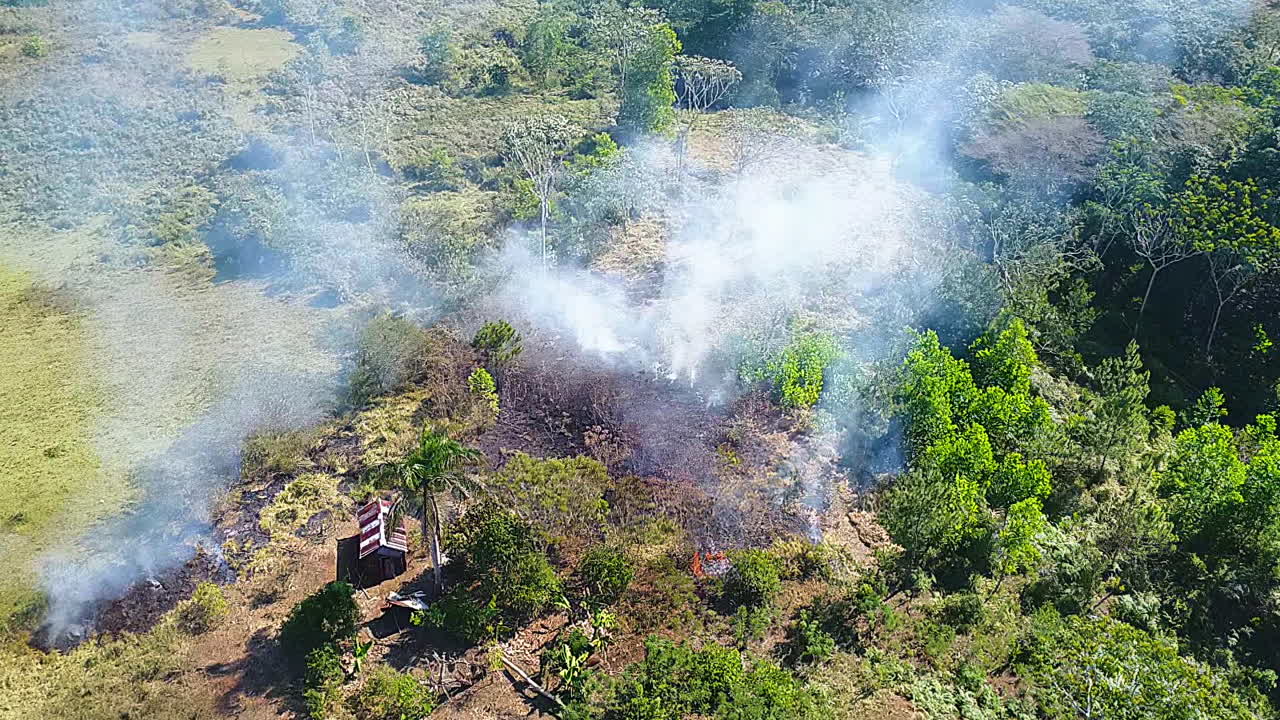 vista aérea alrededor de un incendio forestal humeante en una jungla, incendio forestal en la selva amazónica, día soleado, en brasil, sudamérica - órbita, disparo de drones