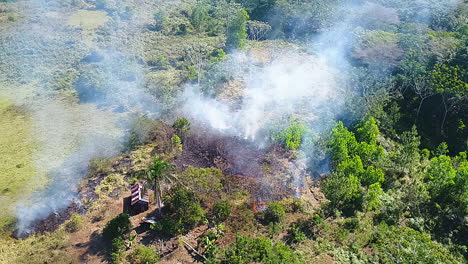 Vista-Aérea-Alrededor-De-Un-Incendio-Forestal-Humeante-En-Una-Jungla,-Incendio-Forestal-En-La-Selva-Amazónica,-Día-Soleado,-En-Brasil,-Sudamérica---órbita,-Disparo-De-Drones