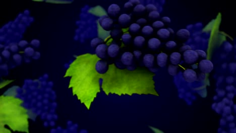 uvas orgánicas sanas en rotación y transición con canal alfa luma matte - bucle sin costuras - video de stock