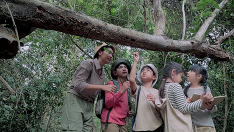 teachers and male and female students aged 6-12 years old organized field trips in the tropical forest.