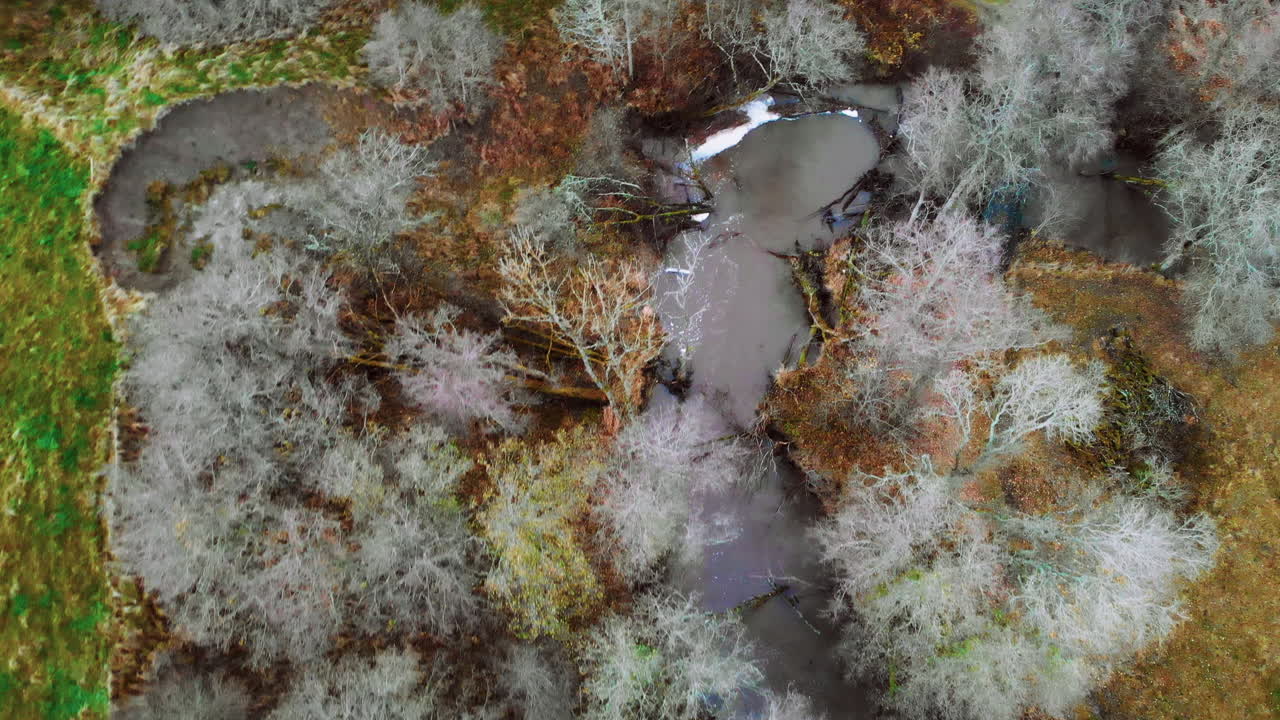 relajante vista aérea desde un pequeño río que fluye entre árboles blancos
