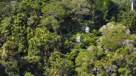 multiple cable cars travel smoothly over dense tropical rainforest in bright daylight, captured with a steady telephoto shot and vibrant natural colors