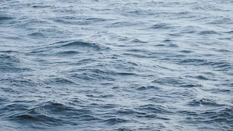 ocean waves