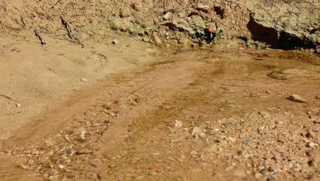 shallow runoff flowing into a creek with natural erosion of the forest soil