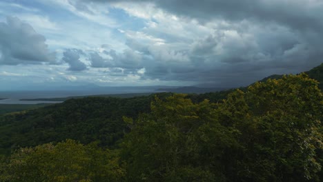 daintree rainforest lookout, cape tribulation australia