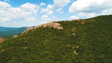 mountain scenery with forest and rocks