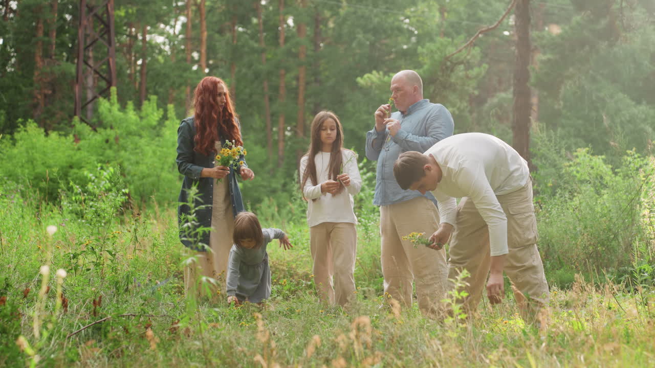 Lovely family enjoying calm summer day while picking wildflowers in bright green forest, surrounded by sunlight and lush nature, symbolizing love, unity, and joyful outdoor lifestyle