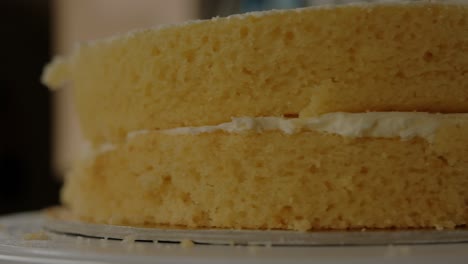 rotating view of a fresh sponge cake, layered, but not yet frosted