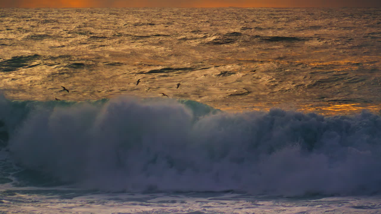 las grandes olas tormentan la vista del océano, las aves, las gaviotas volando sobre el impresionante mar de la mañana.