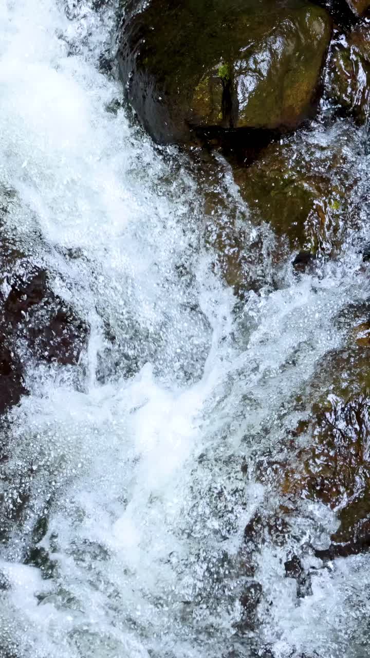 Una vista dinamica dell'acqua che scorre a cascata su rocce muschiose in un ruscello naturale, catturata con illuminazione vibrante e riprese stabili.