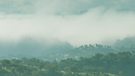 Fog-rolls-over-Portuguese-hills-early-in-the-morning